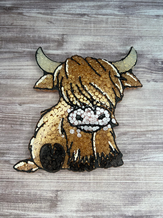 Highland Cow